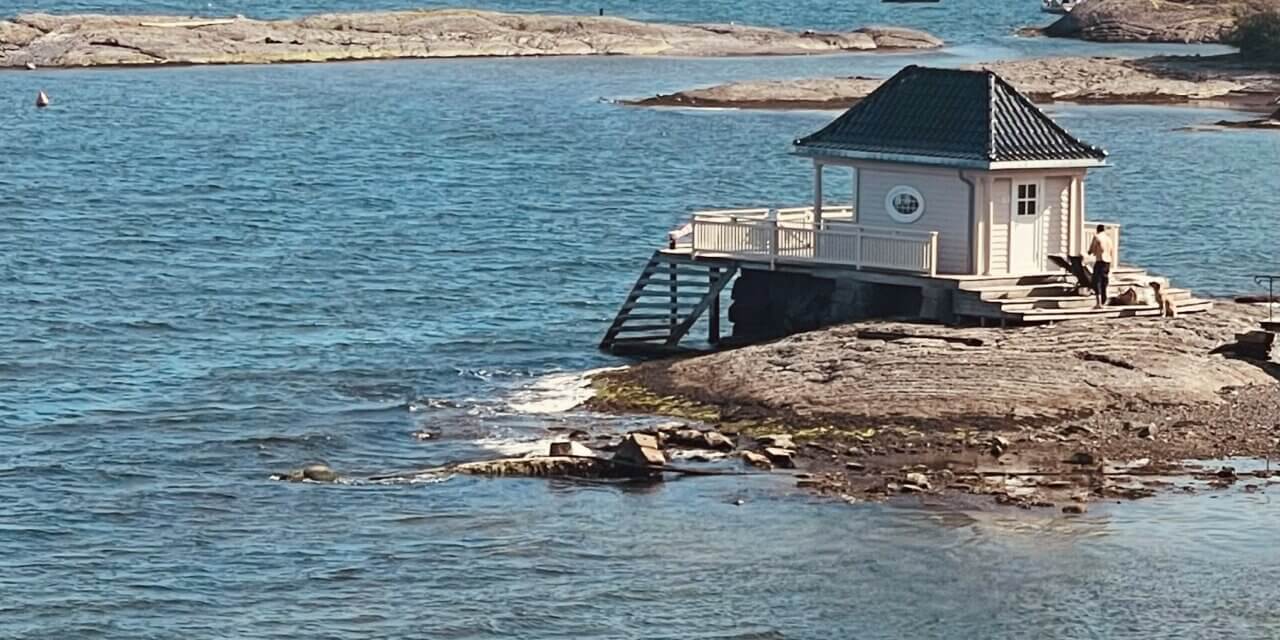 Les résistances : l’intelligence cachée du système