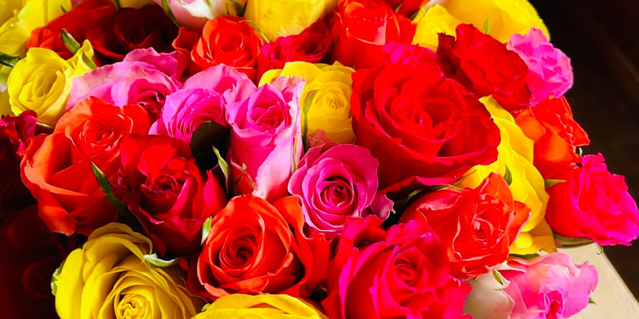 La gratitude comme pratique de présence